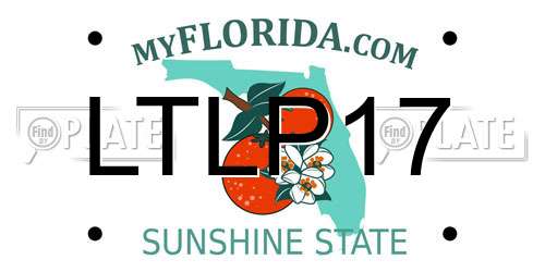 LTLP17 Florida License Plate