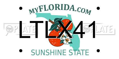 LTLX41 Florida License Plate