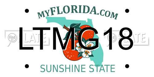 LTMG18 Florida License Plate