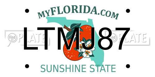 LTMJ87 Florida License Plate