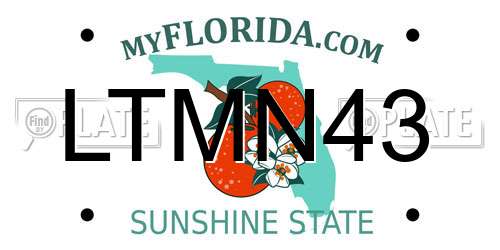 LTMN43 Florida License Plate