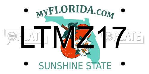 LTMZ17 Florida License Plate