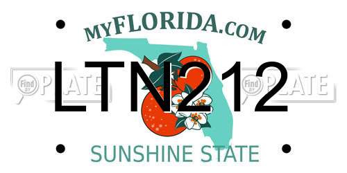 LTN212 Florida License Plate