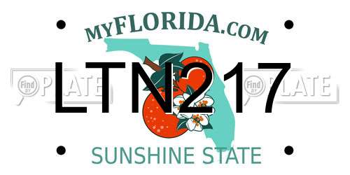 LTN217 Florida License Plate