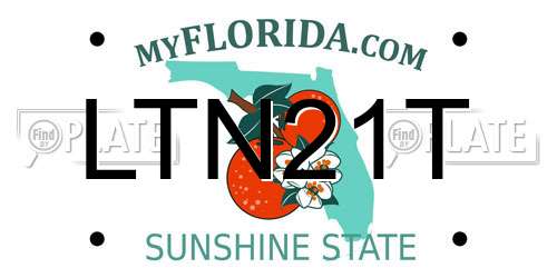 LTN21T Florida License Plate