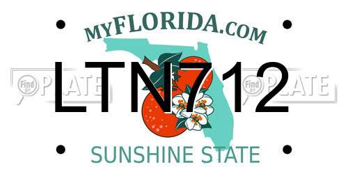 LTN712 Florida License Plate