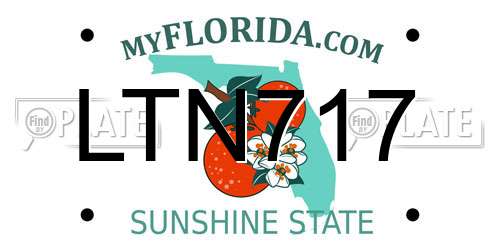 LTN717 Florida License Plate
