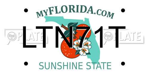 LTN71T Florida License Plate