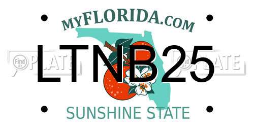 LTNB25 Florida License Plate
