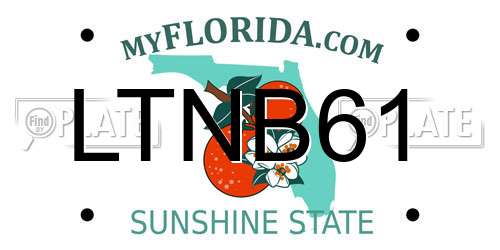 LTNB61 Florida License Plate