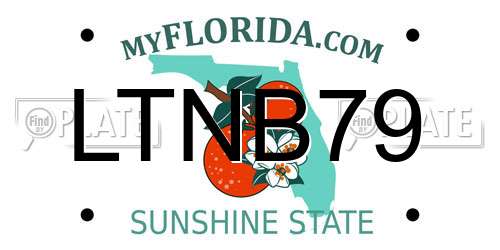 LTNB79 Florida License Plate