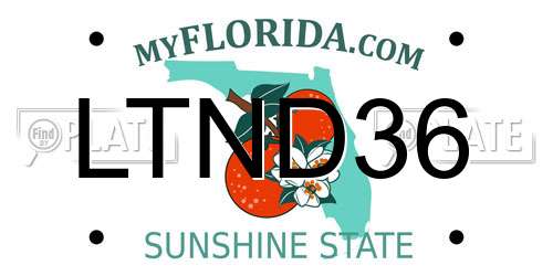 LTND36 Florida License Plate
