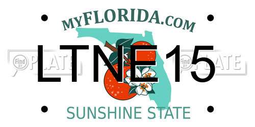 LTNE15 Florida License Plate