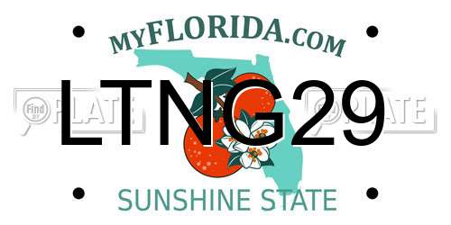 LTNG29 Florida License Plate