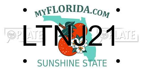 LTNJ21 Florida License Plate