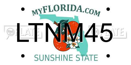 LTNM45 Florida License Plate