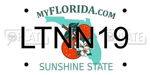 LTNN19 Florida License Plate
