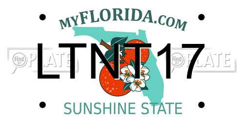 LTNT17 Florida License Plate