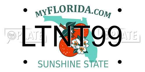 LTNT99 Florida License Plate