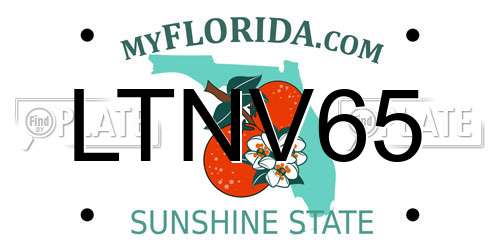LTNV65 Florida License Plate