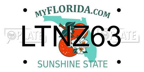 LTNZ63 Florida License Plate