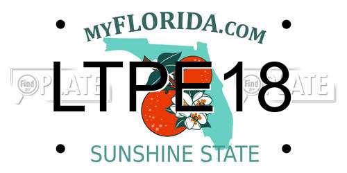 LTPE18 Florida License Plate