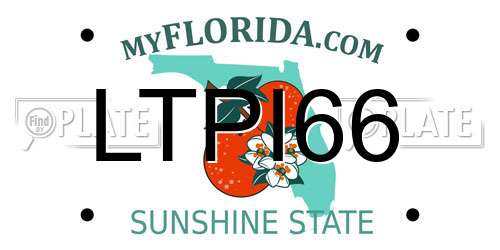 LTPI66 Florida License Plate