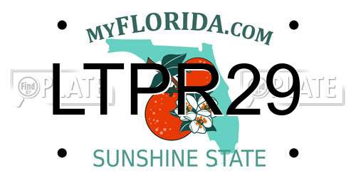 LTPR29 Florida License Plate