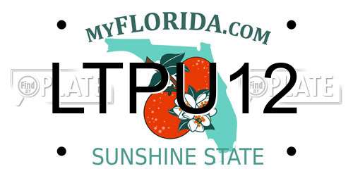LTPU12 Florida License Plate