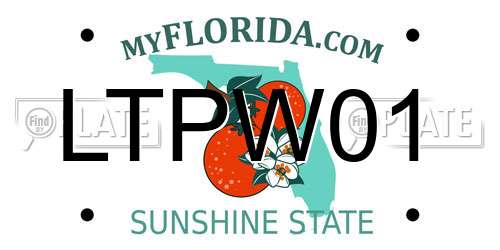 LTPW01 Florida License Plate