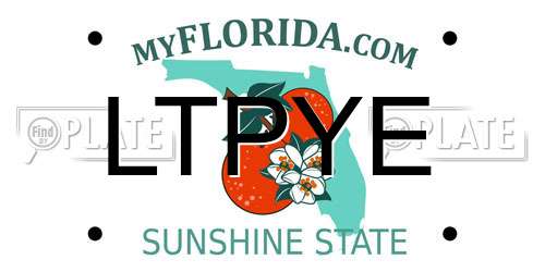 LTPYE Florida License Plate