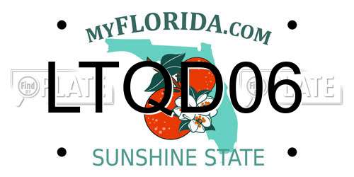 LTQD06 Florida License Plate