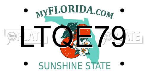 LTQE79 Florida License Plate