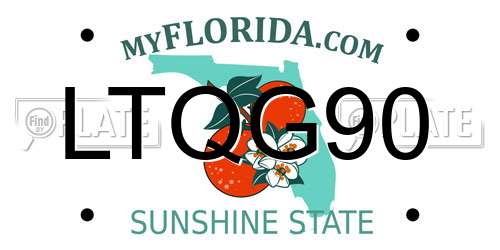 LTQG90 Florida License Plate