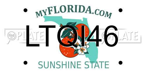 LTQI46 Florida License Plate