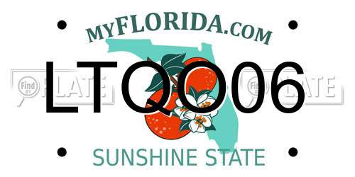 LTQO06 Florida License Plate