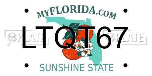 LTQT67 Florida License Plate