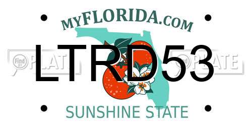 LTRD53 Florida License Plate