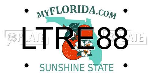LTRE88 Florida License Plate