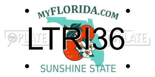 LTRI36 Florida License Plate