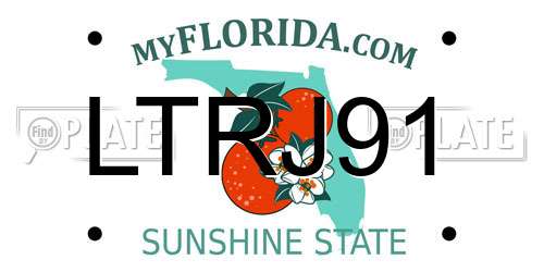 LTRJ91 Florida License Plate