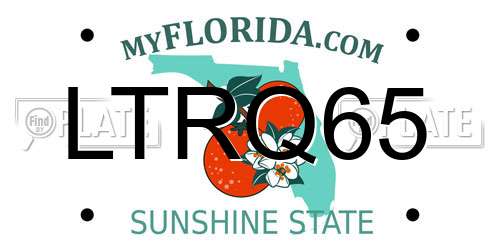 LTRQ65 Florida License Plate