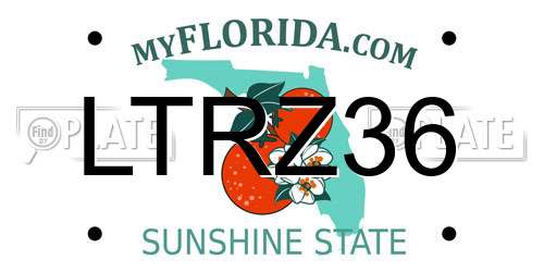 LTRZ36 Florida License Plate