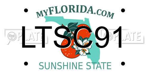 LTSC91 Florida License Plate