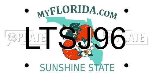 LTSJ96 Florida License Plate