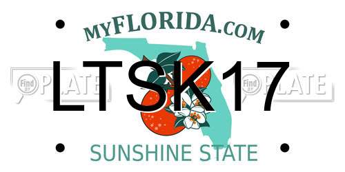 LTSK17 Florida License Plate