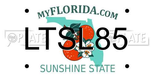 LTSL85 Florida License Plate