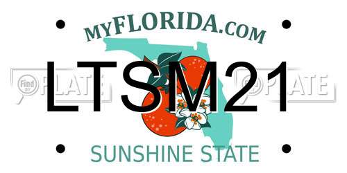 LTSM21 Florida License Plate
