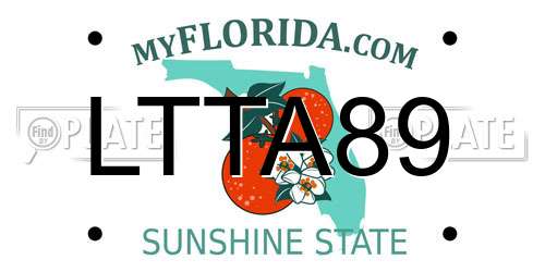 LTTA89 Florida License Plate
