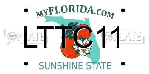 LTTC11 Florida License Plate